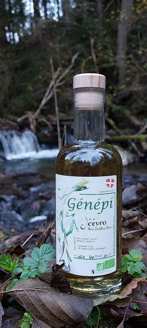 Bouteille de liqueur ambrée entourée de petits verres et de fleurs d'armoise séchée posés sur une table en bois
